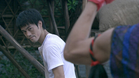 Bruce lee 2008 shop