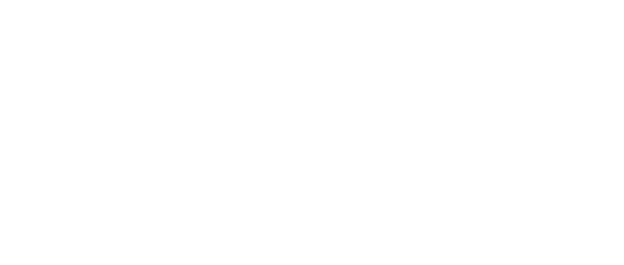 Bruce lee netflix online